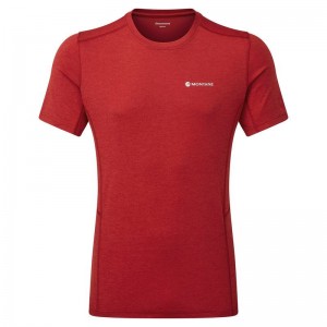 Dark Red Montane Dart Men's T Shirts | HBY637HY