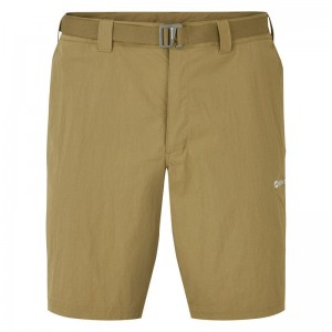 Green Montane Terra Lite Men's Shorts | EHE8213BB