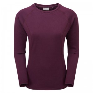 Purple Montane Protium Women's Sweaters | WAE4745BK