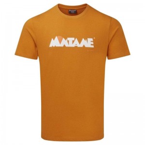 Yellow Montane Lightweight Heritage Men's T Shirts | XIP5274UG